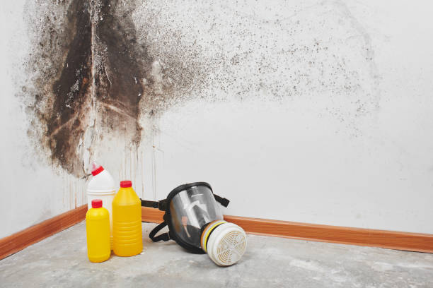 Hallowell, ME Mold Removal Company