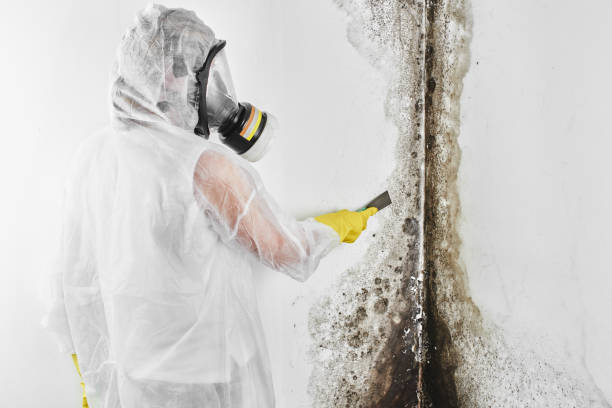 Water Damage Restoration in Hallowell, ME