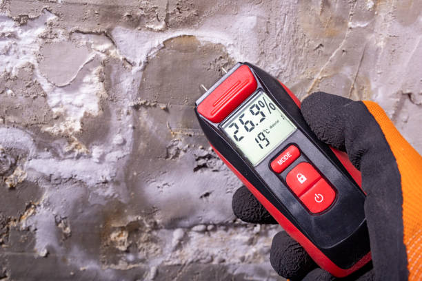 Best Residential Mold Removal  in Hallowell, ME